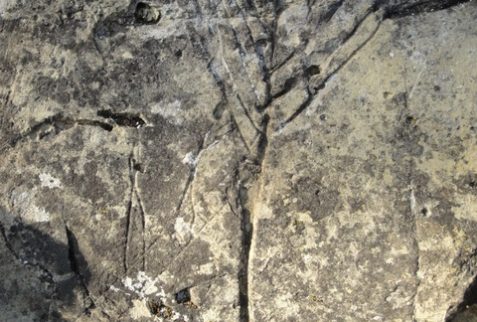 Incisioni Parco Graffiti Rupestri Annunciata Piancogno Altopiano del Sole