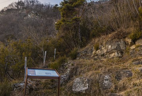 Parco Graffiti Rupestri Annunciata Piancogno Altopiano del Sole