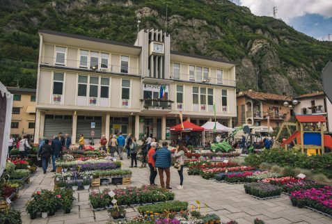 Fiera dei Fiori Piancogno Altopiano del Sole