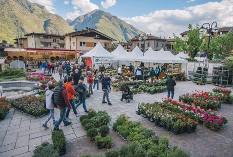 Fiera dei Fiori Piancogno Altopiano del Sole