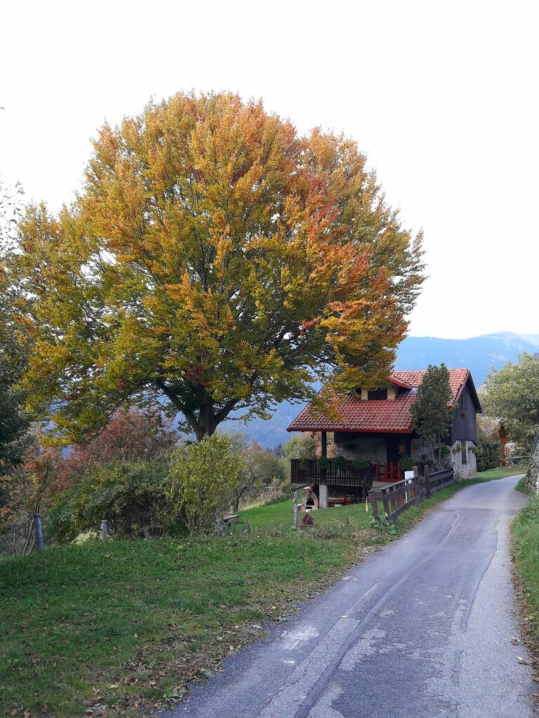 prave autunno