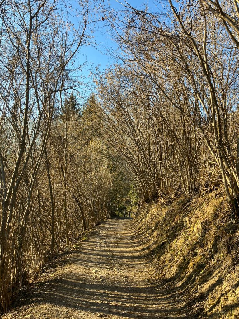 strada_vecchia_borno_ossimo_altopiano_del_sole