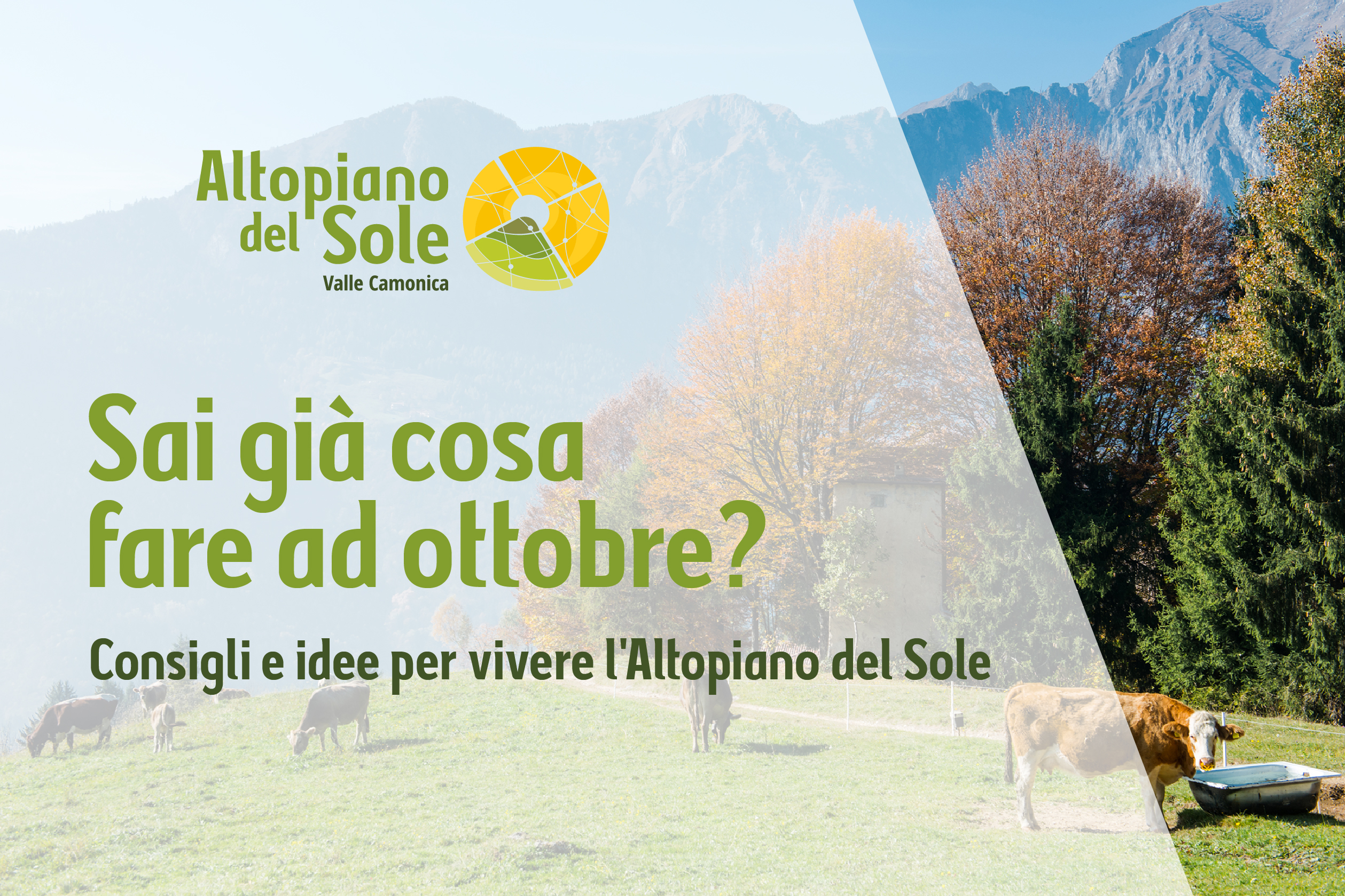 sai già cosa fare a ottobre